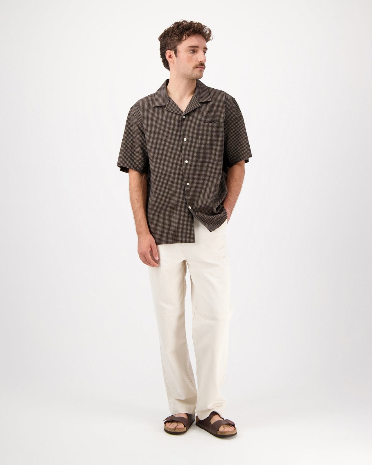 hosta c - brown - Castart