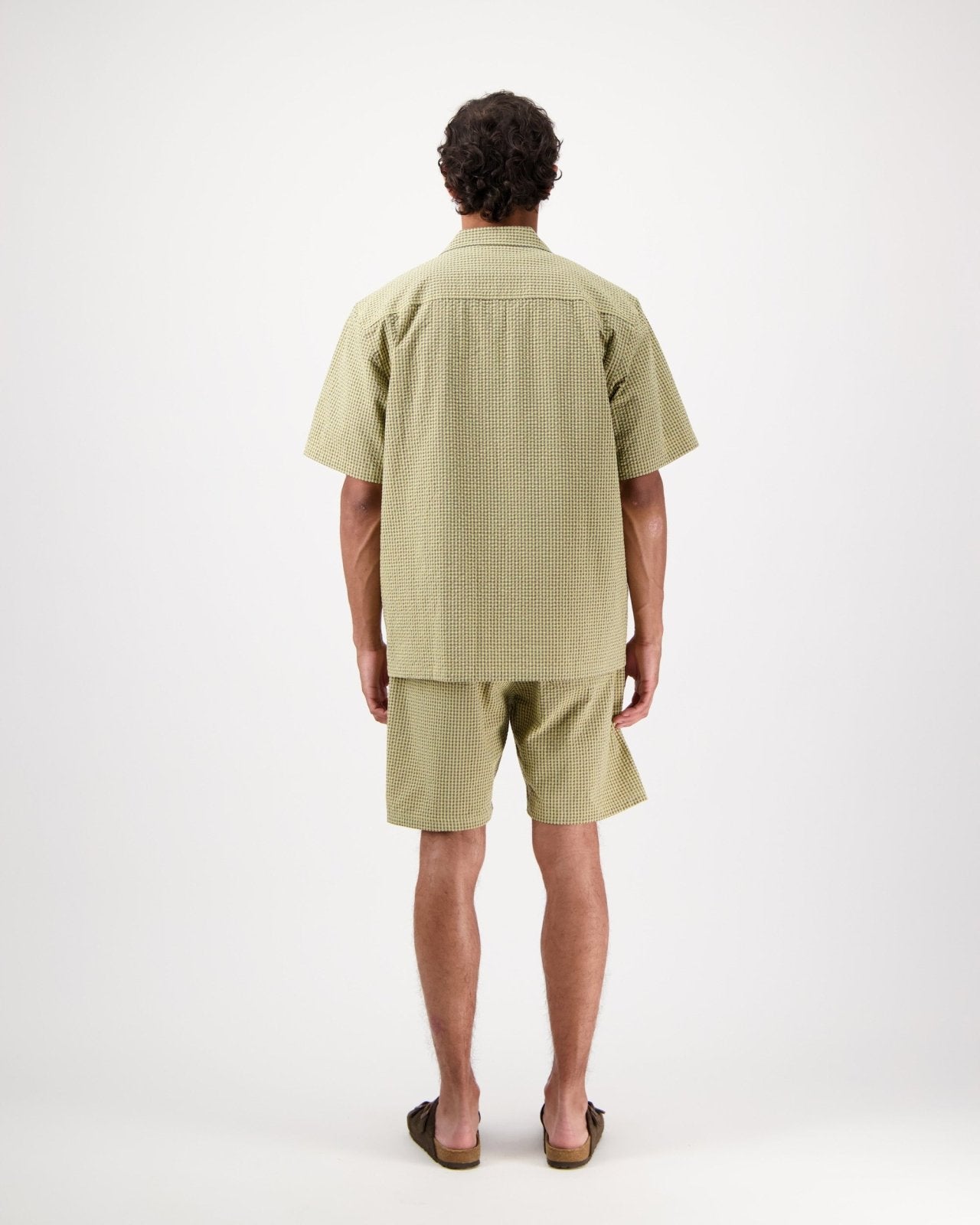 hosta c - yellow - Castart