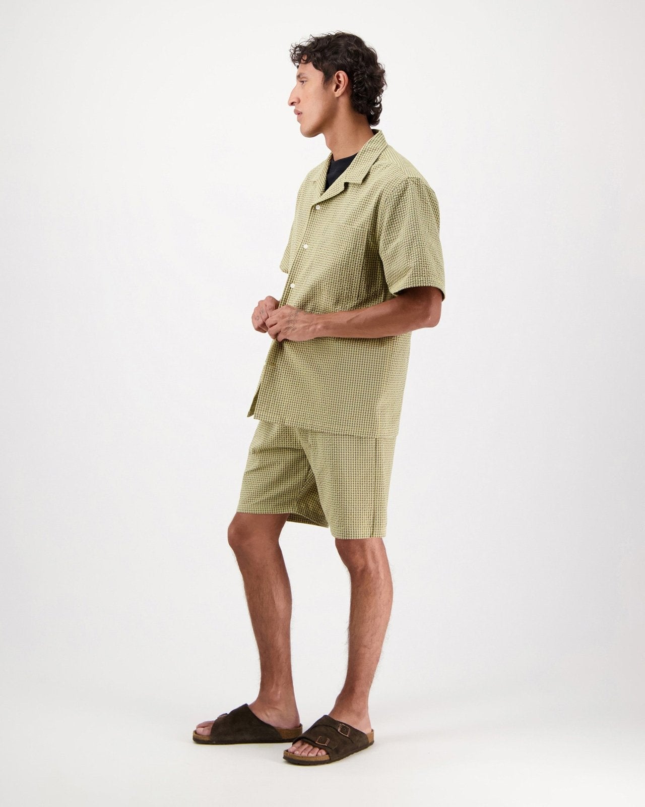 hosta c - yellow - Castart