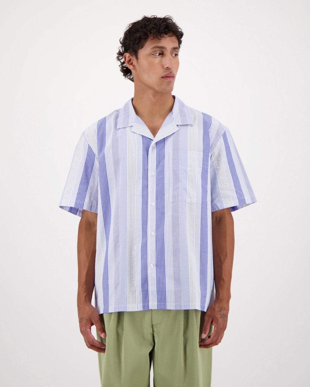 hosta s - blue - Castart