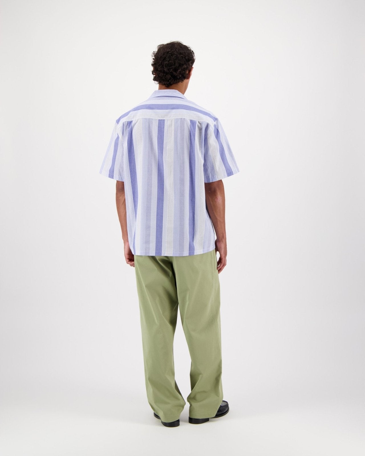 hosta s - blue - Castart