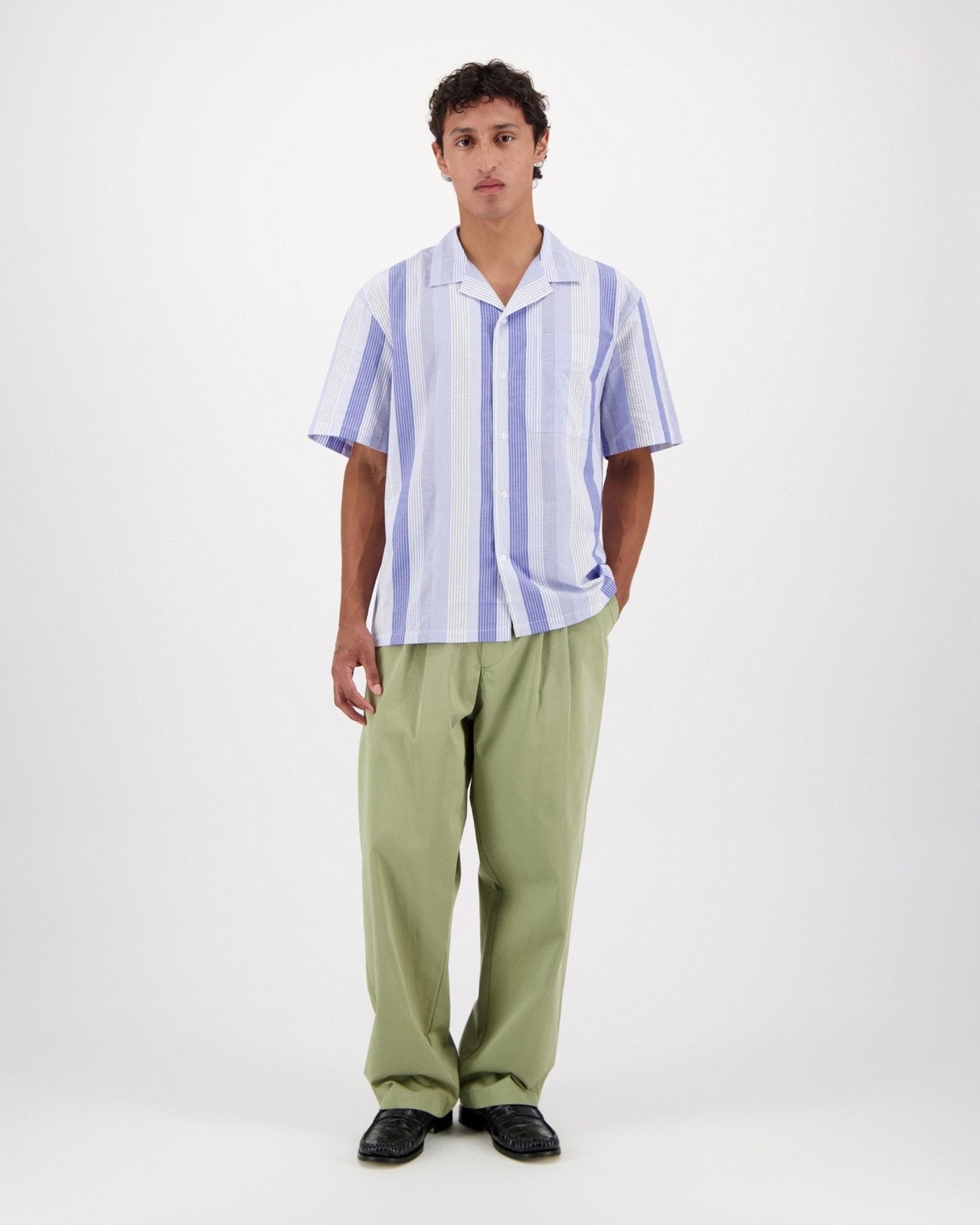 hosta s - blue - Castart