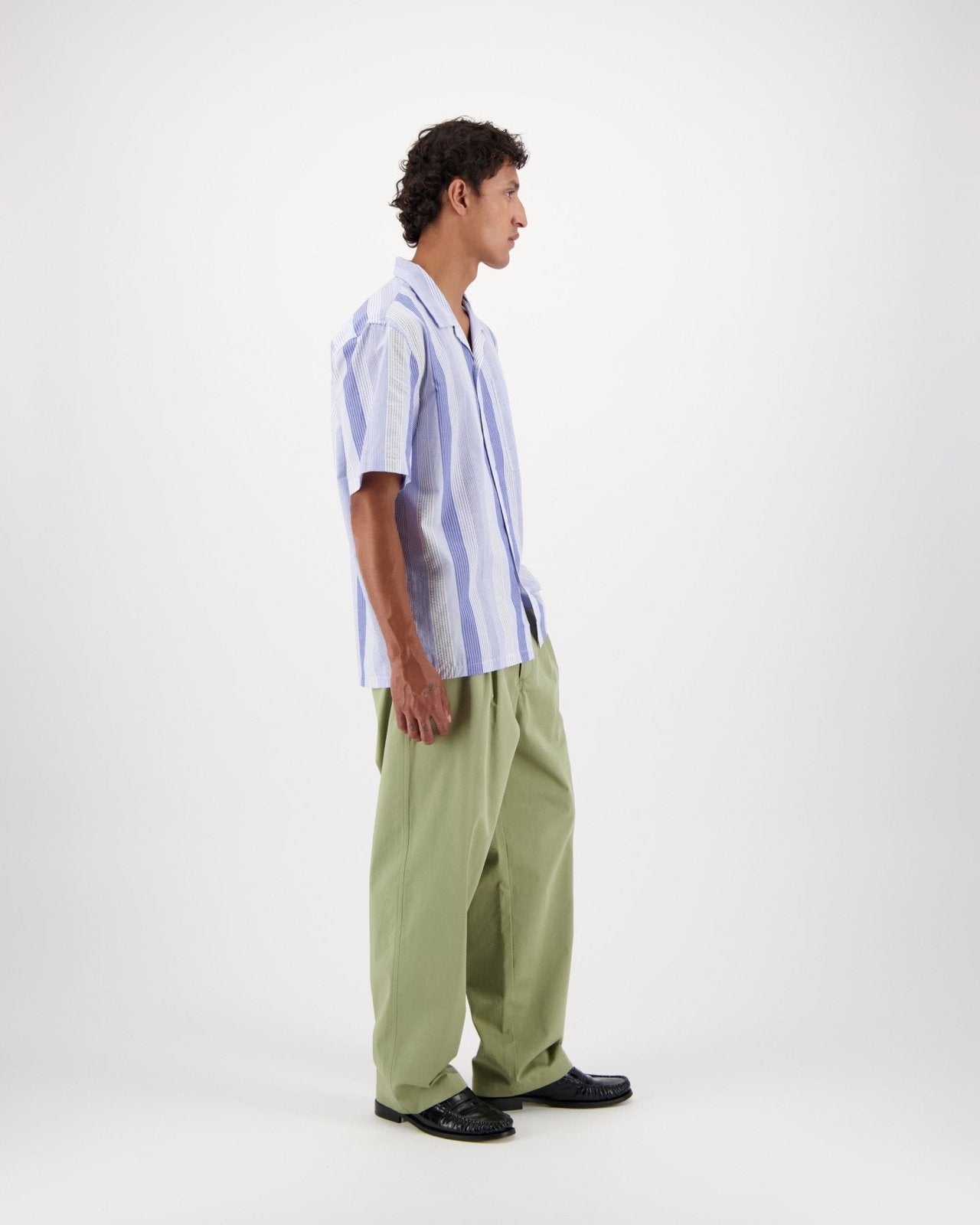 hosta s - blue - Castart