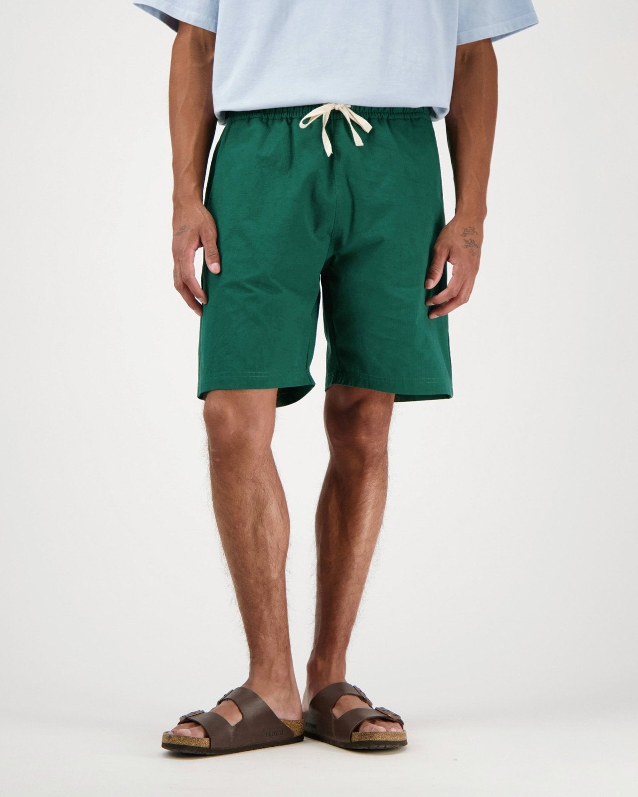 loquat - botanical green - Castart