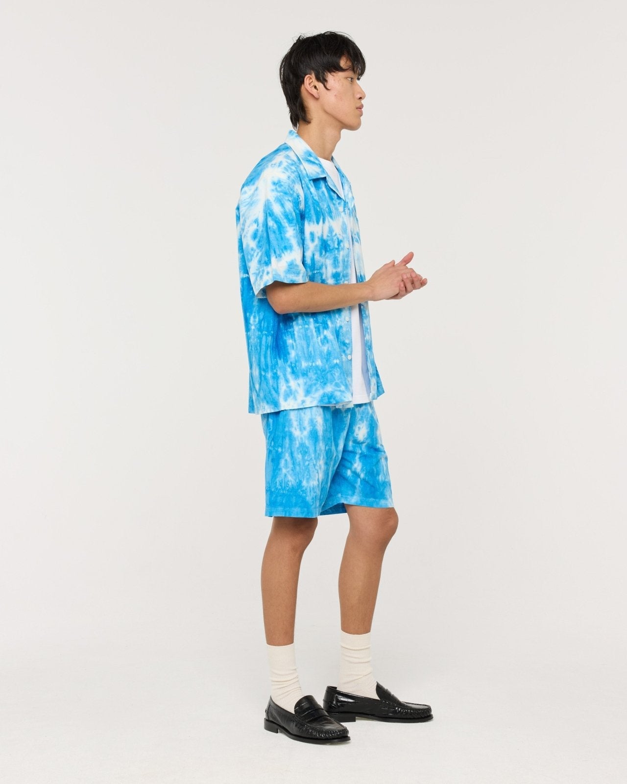 loquat td1 - bright blue - Castart